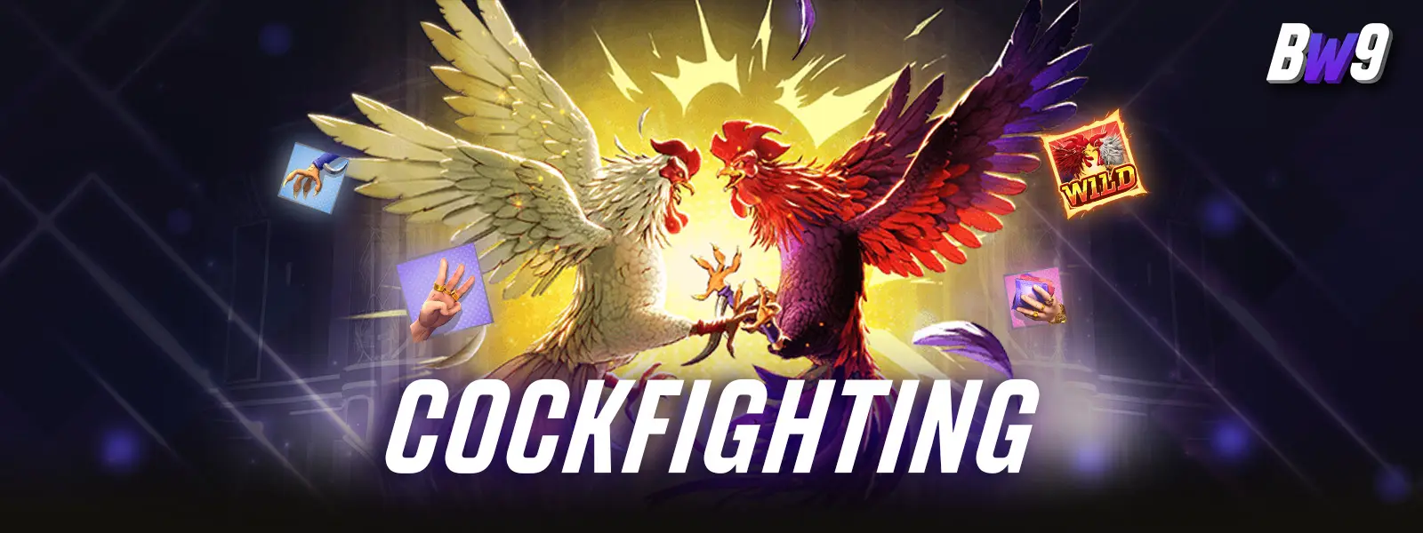 Cockfighting at bw9